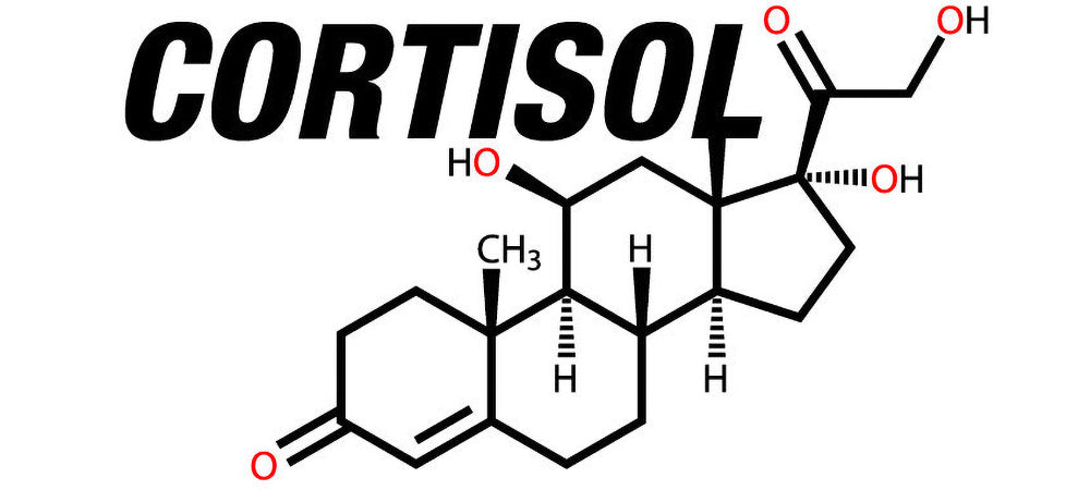 L'adrénaline et le cortisol cause des maux de dos/cervicales