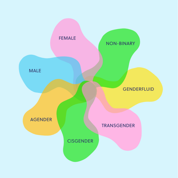 an image representing different identities on the gender spectrum