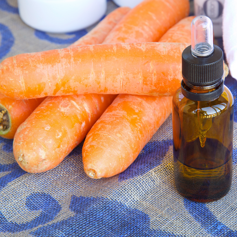 Another amazing oil in this product is Carrot Seed Oil. This oil is said to be beneficial to our hair and may promote hair growth, prevent damage and aid in the overall health of your tresses. It contains high levels of vitamin A and E, as well as beta carotene which can penetrate the hair shaft to repair, strengthen, and moisturise damaged hair. This oil improves blood circulation which may help stimulate hair growth. It also conditions the scalp and hair and soothes itchy and irritated scalp conditions. It can restore lustre to dull, dry and damaged hair.