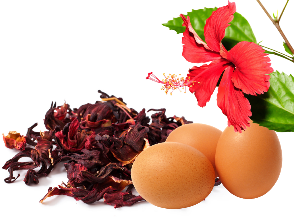 egg and hibiscus hair mask