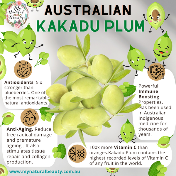 Australian Kakadu Plum. Buy Kakadu Plum Australia.