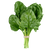 Organic Spinach Organic Kale Organic Broccoli Organic Spirulina