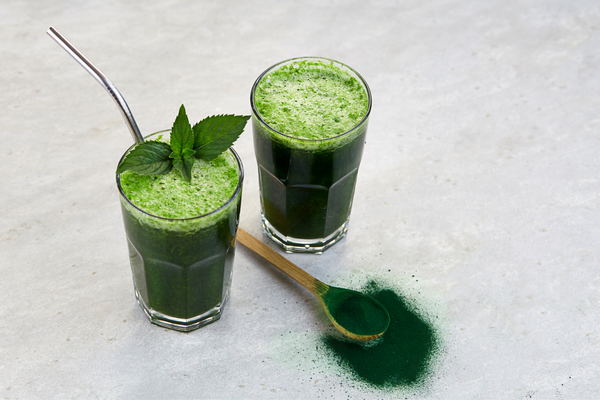 Chlorella powder