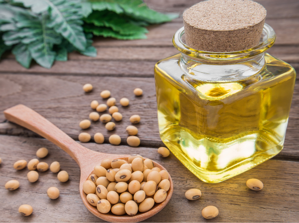 My Natural Beauty’s 100% Pure Organic Soybean Oil is an exceptional quality oil for skin, massage and hair care application. Soybean is extremely high in Lecithin, Sterolins, and Vitamin E.