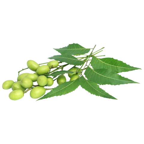 Neem Oil Australia