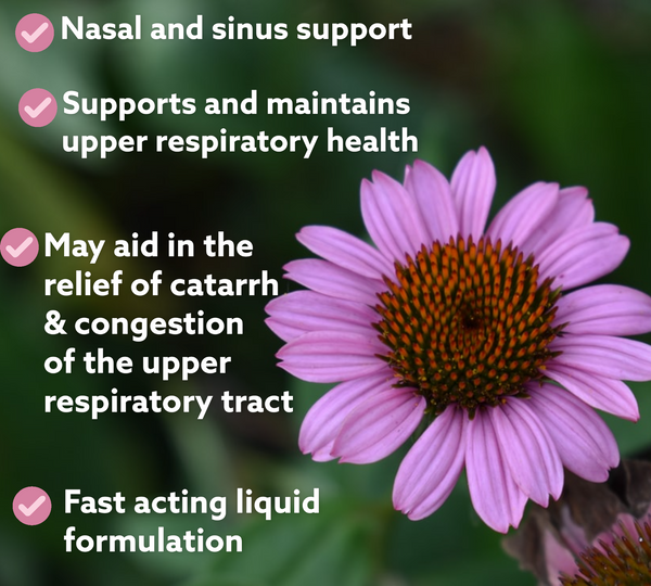 Kiwiherb De-Stuff For Kids- 200ml Nasal & sinus support Elderflower Ribwort Echinacea purpurea root