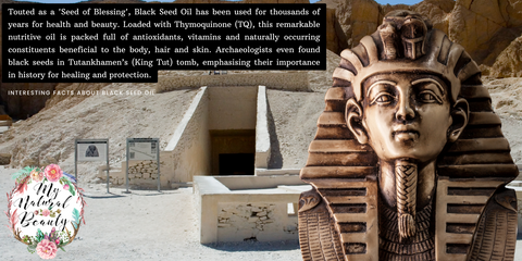 Touted as a 'Seed of Blessing', Black Seed Oil has been used for thousands of years for health and beauty. Loaded with Thymoquinone (TQ), this remarkable nutritive oil is packed full of antioxidants, vitamins and naturally occurring constituents beneficial to the body, hair and skin. Archaeologists even found black seeds in Tutankhamen’s (King Tut) tomb, emphasising their importance in history for healing and protection.