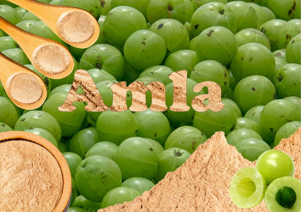 Amla Australia