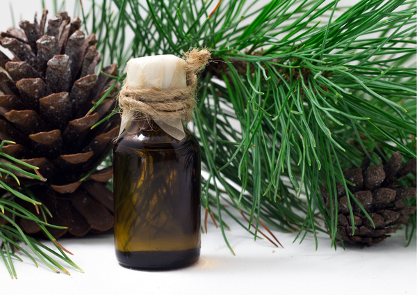 Cedarwood Essential Oil for hair growth