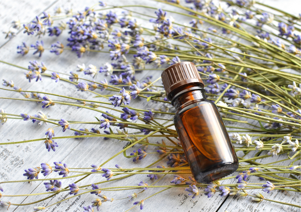 Lavender Essential Oil for hair growth