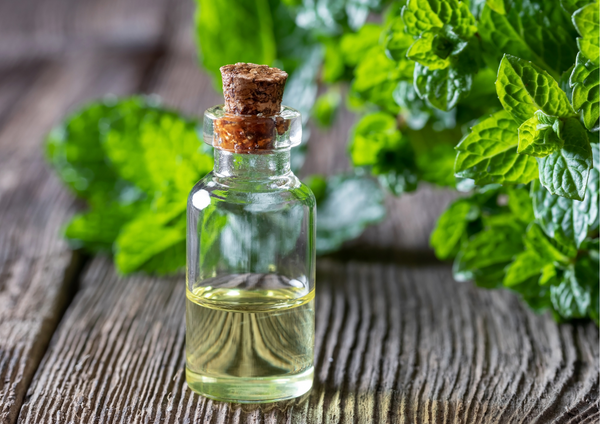 Peppermint Essential Oil for Hair Growth