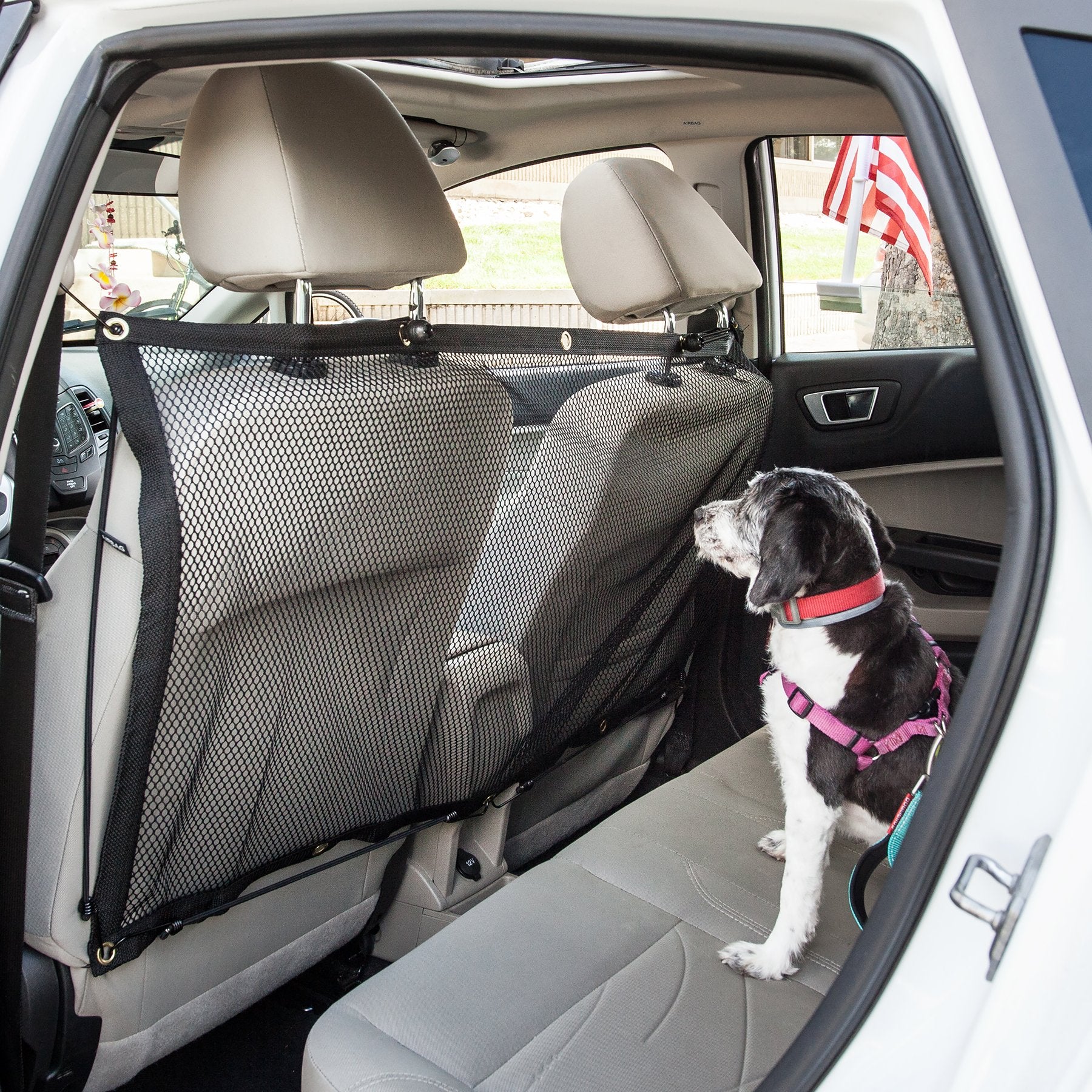 car pet barrier for cats