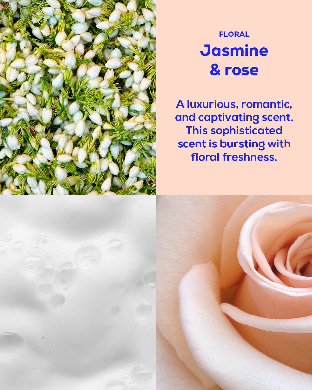 Jasmine & Rose