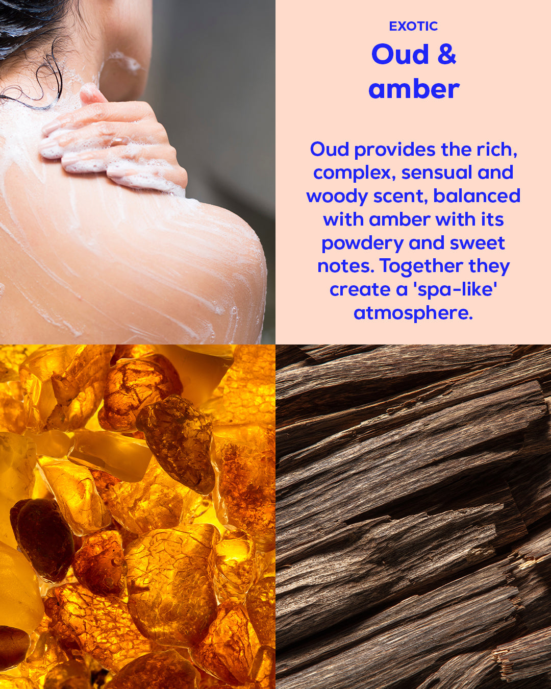 Oud and amber