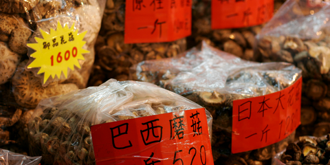 Shiitake China Markt