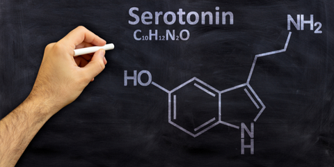 Serotonin - Bedeutung, Wirkung und Funktion