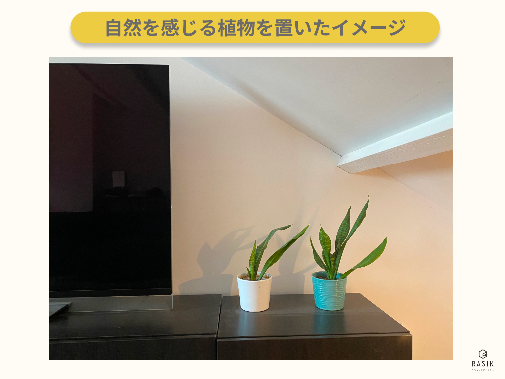 自然を感じる植物を置いた画像