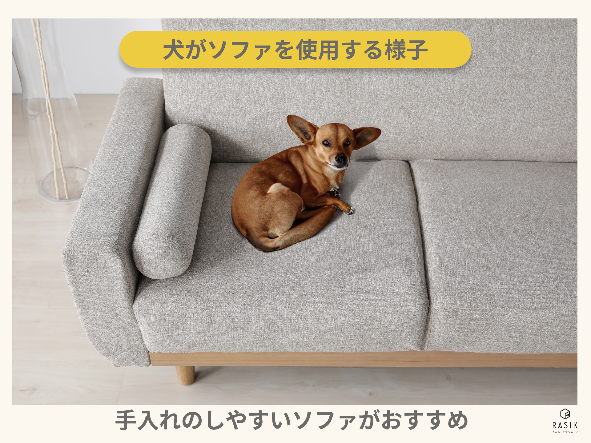 犬がソファを使用する様子