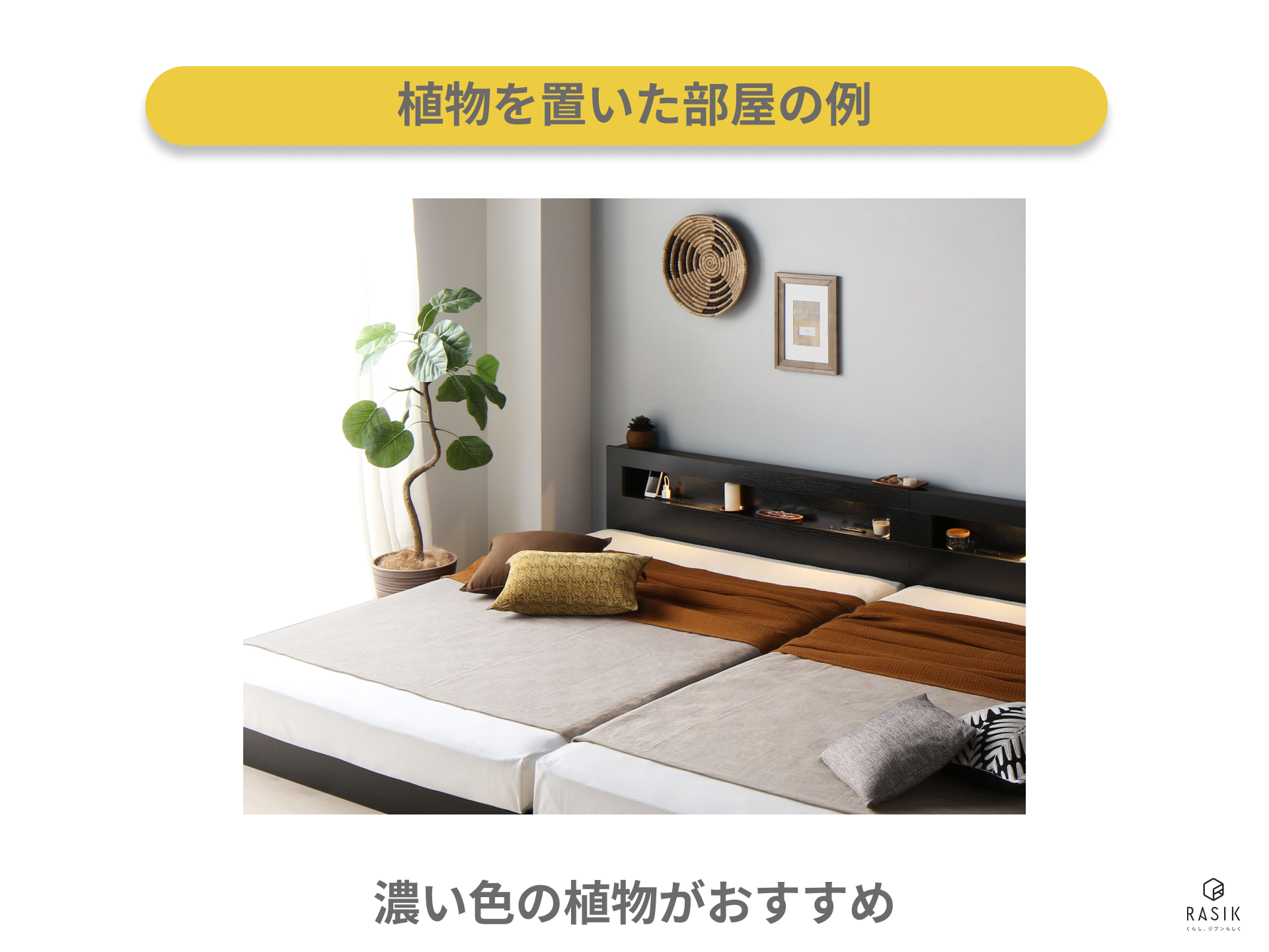 実際に部屋に観葉植物を置いた画像