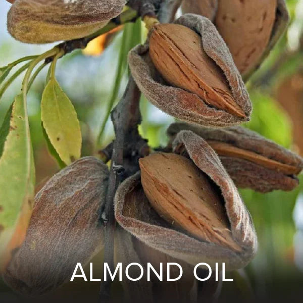 Ingredient Image 3