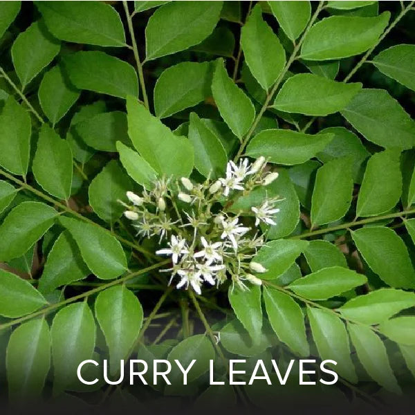 Ingredient Image 9