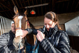 Horse Research Science Supplements