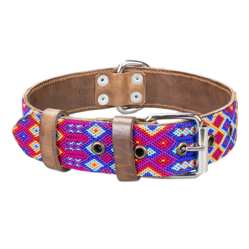 Cactus Dog Collar – Artelexia