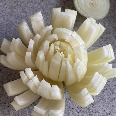 Onion cut into 16 sections
