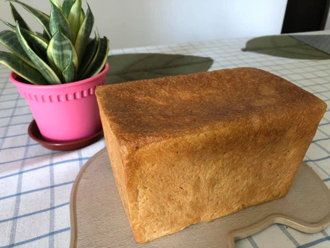Loaf of bread homemade before slicing