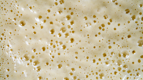 image of fermentation