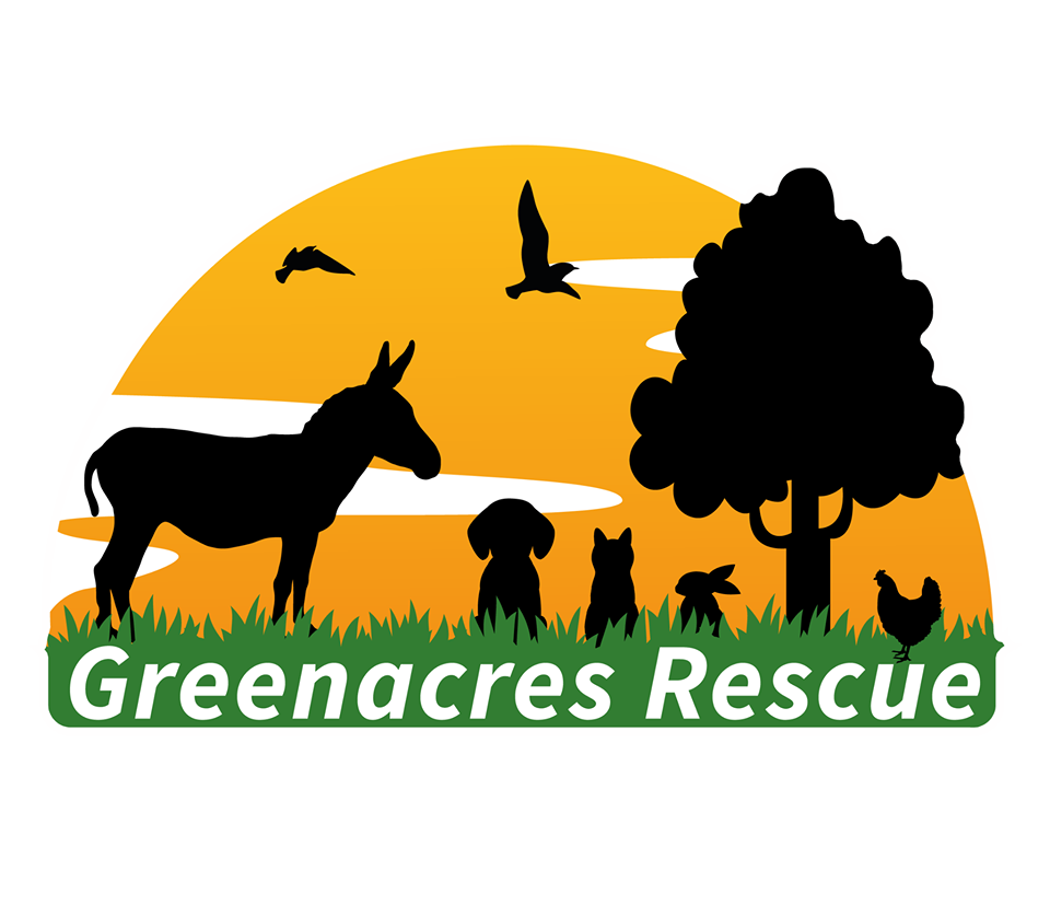 Greenacres Rescue Shop