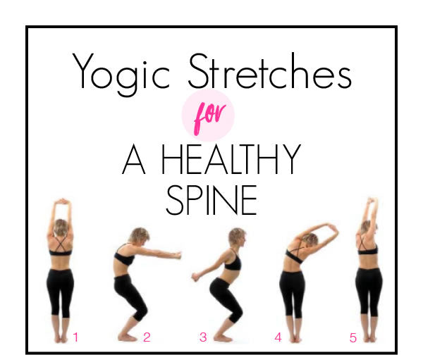 spine stretches
