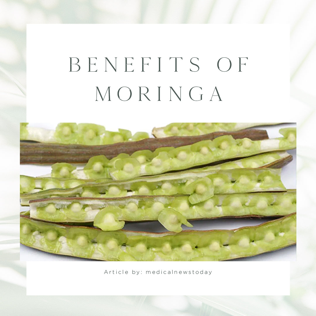 Moringa Cover