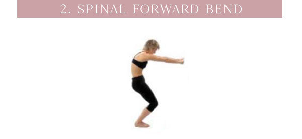 spine2d bone stretch