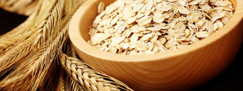 Oat protein