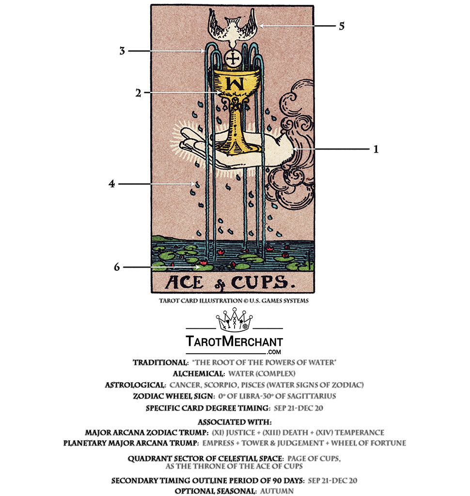 Ace of Cups Tarot Card Meanings