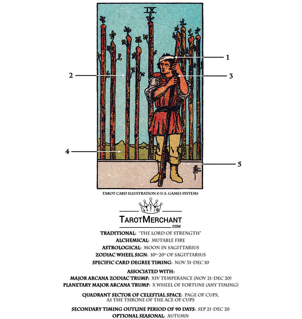Nine of Wands Tarot Card Meanings