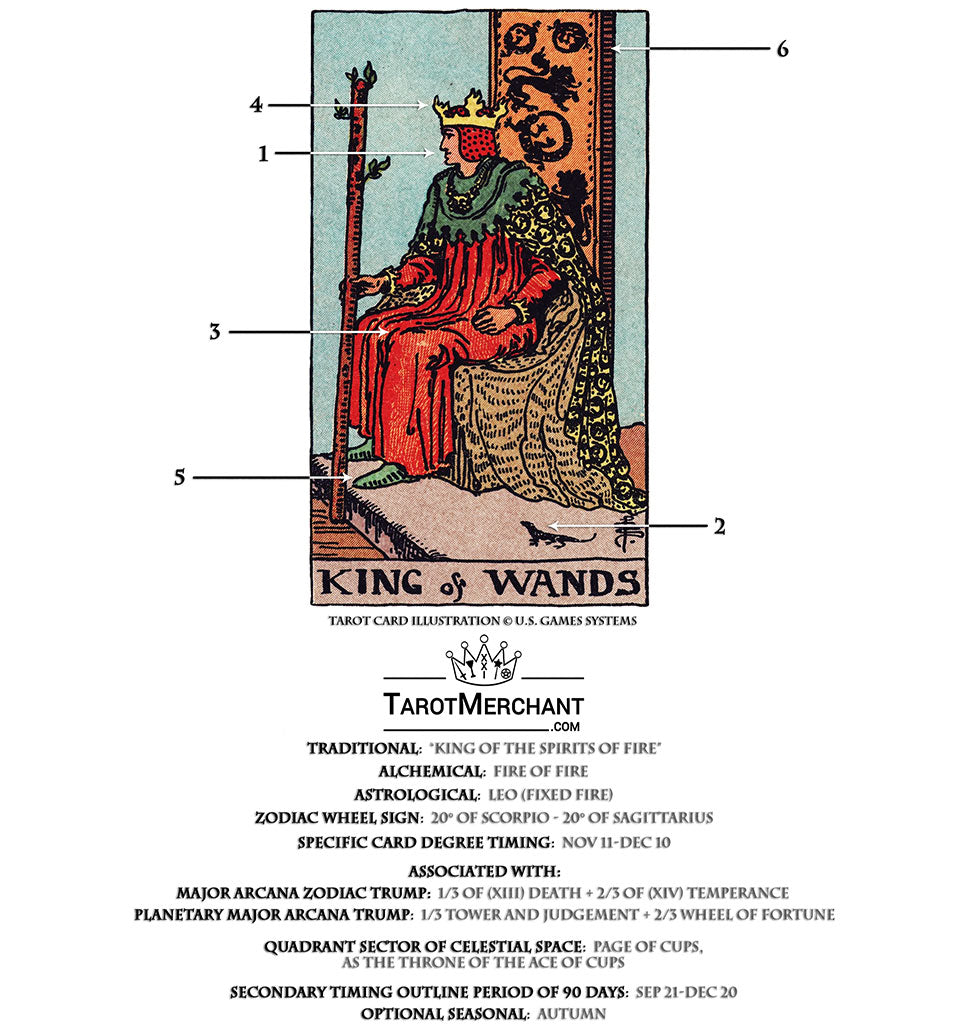 blik tandpine Bevis King of Wands Tarot Card Meanings – TarotMerchant