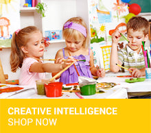 Creative Intelligence Toys