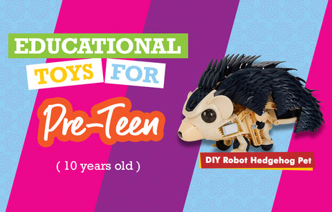 Educational Toys for 10 Year Olds - Hedgehog