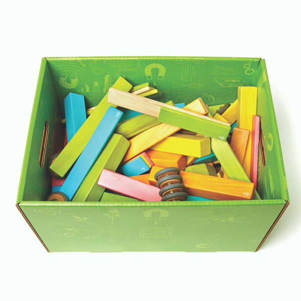 tegu classroom set