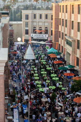 Concern Foundation Block Party image from above