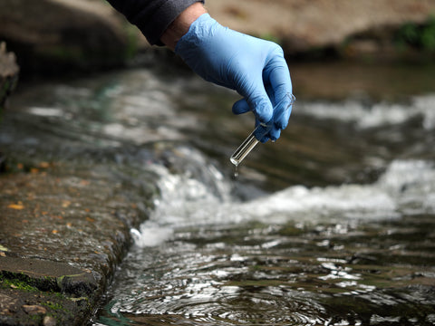 Researcher collecting water sample from river