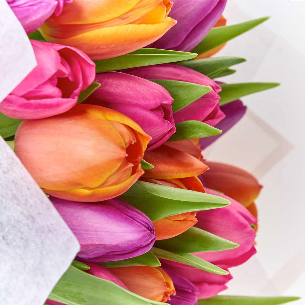 Ramo de 30 Tulipanes. | Flores de ocoa