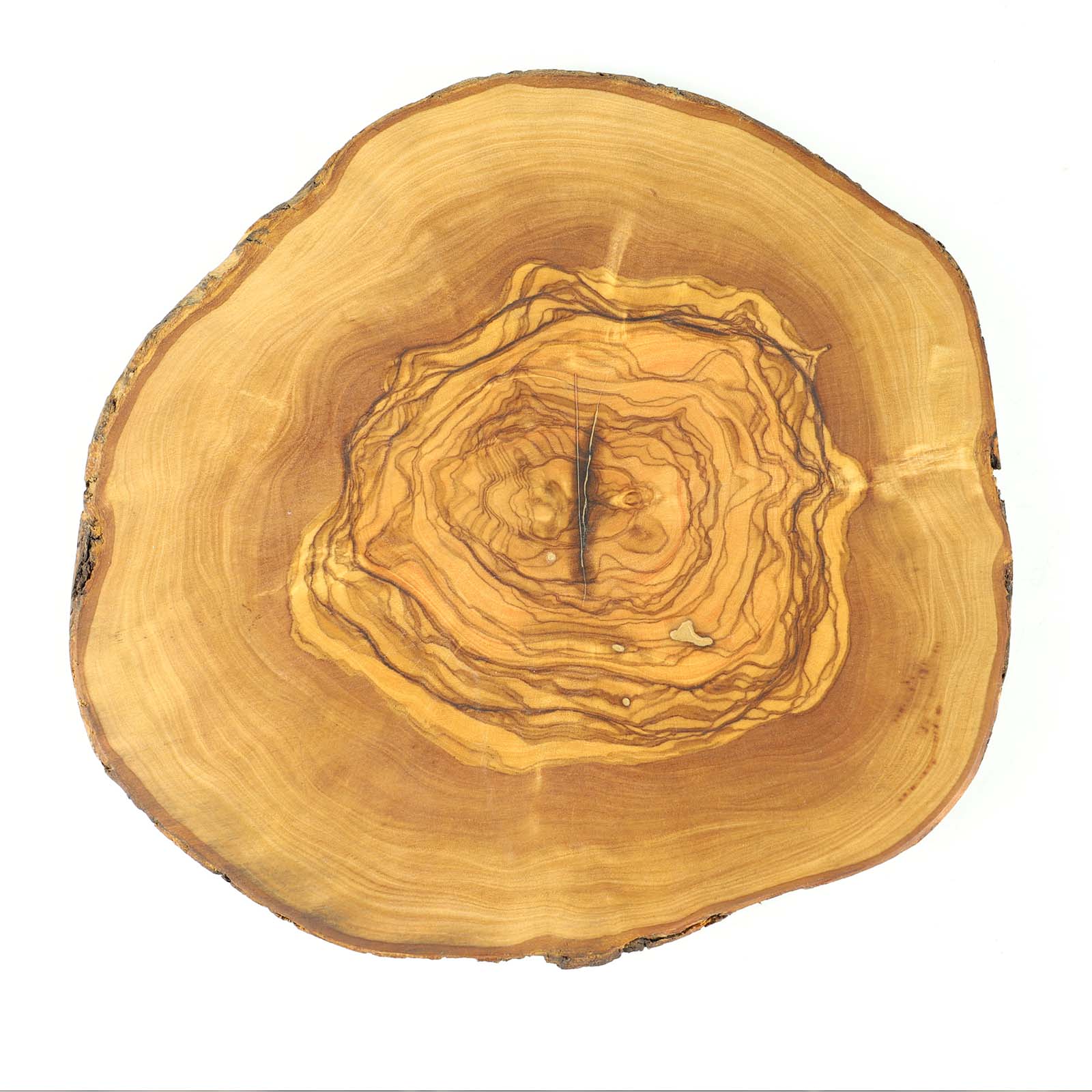 Olive Wood Slice Mcevoy Ranch