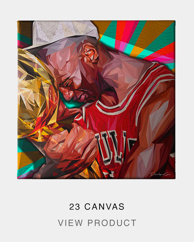 23 Canvas
