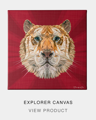 Explorer Canvas