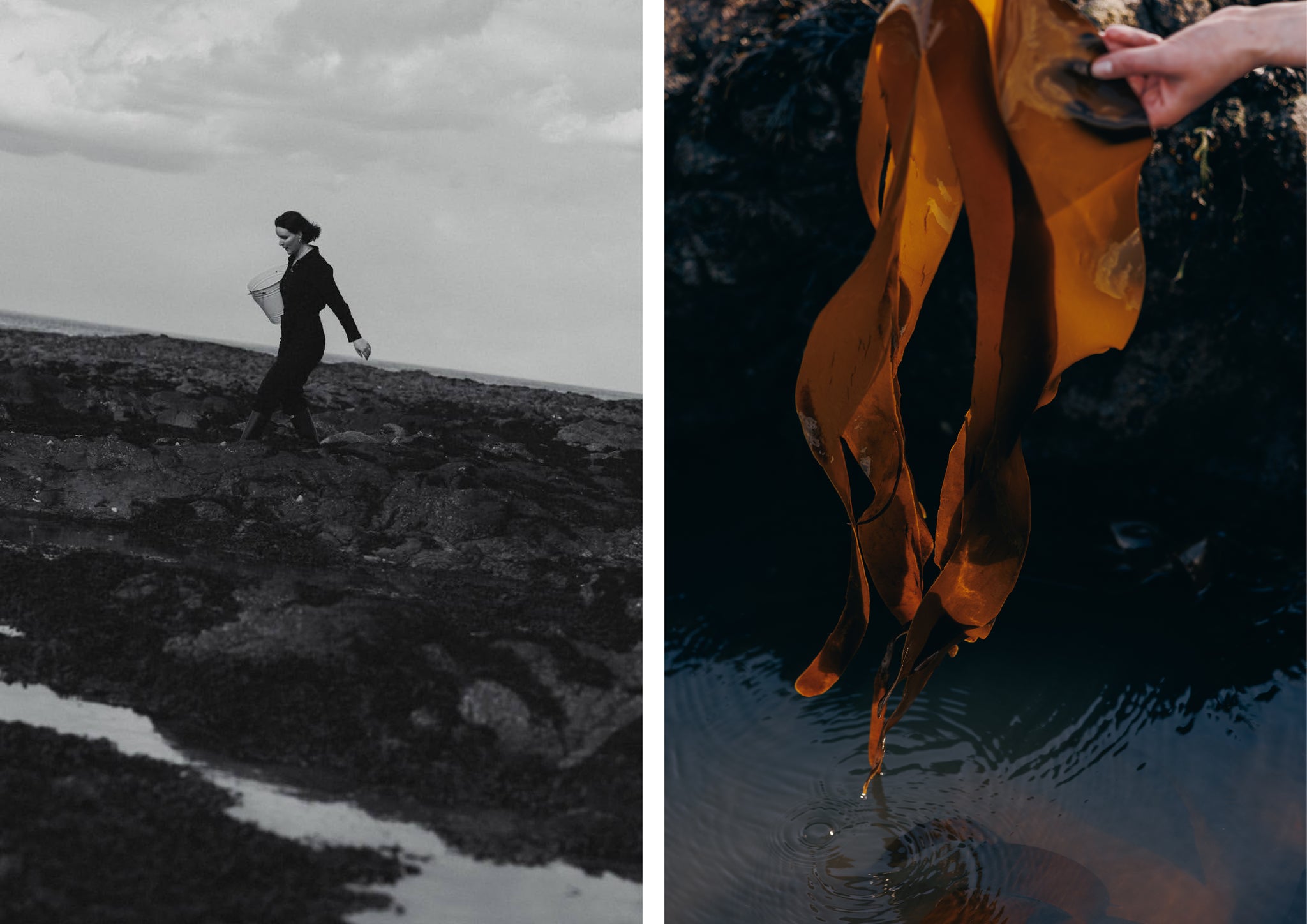 Woman on coast and seaweed