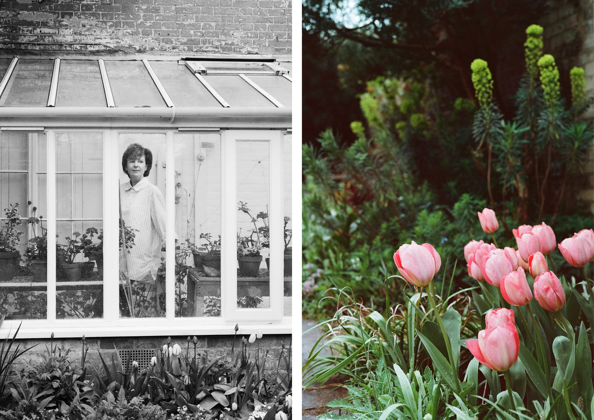Female author in her conservatory and pink flowers