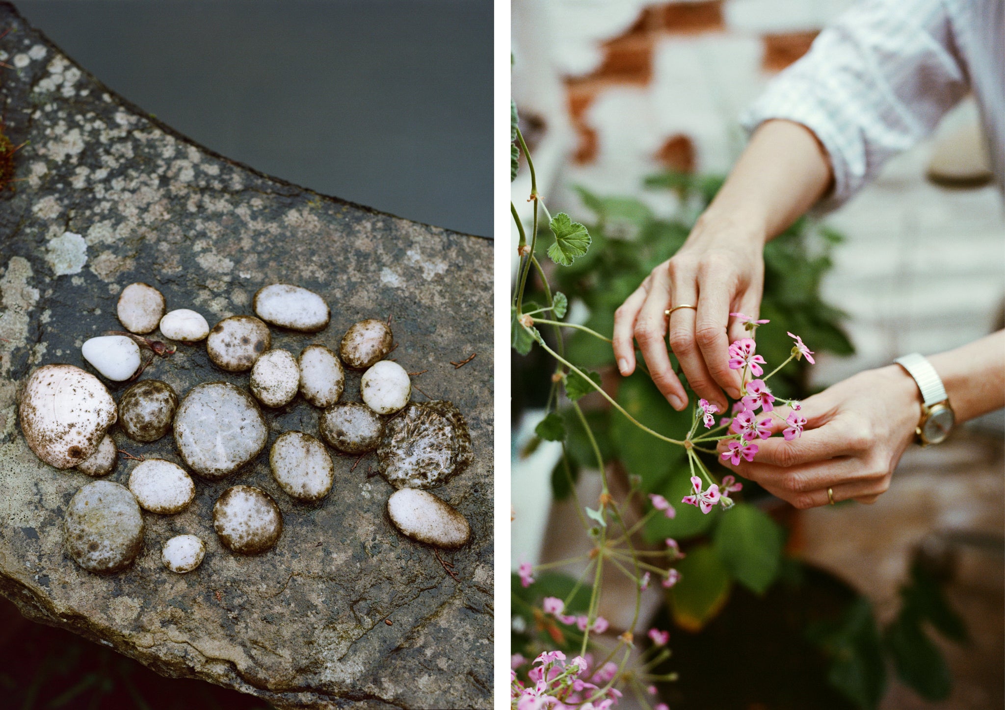 Pebbles and woman touching flower